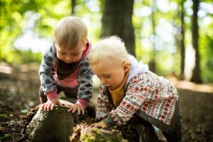 Kinder untersuchen einen Baumstamm und fördern so ihre frühkindliche Entwicklung