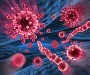 Viren und Bakterien