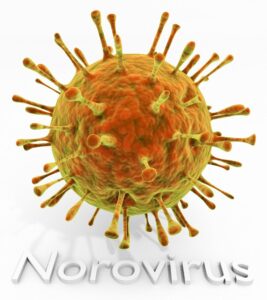 Norovirus in Nahaufnahme
